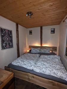 a bedroom with a bed with a wooden ceiling at Beutners Berghütte in Stützerbach