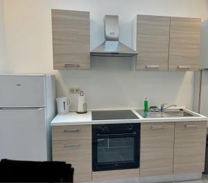 a kitchen with a sink and a refrigerator at Charbonnel 2 Bruxelles-Charleroi-airport in Charleroi