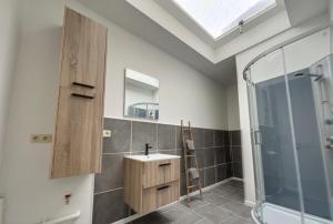 a bathroom with a sink and a glass shower at Charbonnel 2 Bruxelles-Charleroi-airport in Charleroi