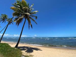 twee palmbomen op een zandstrand bij de oceaan bij Duplex em Praia do Forte a 50m da vila in Mata de Sao Joao