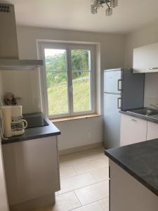 a kitchen with a white refrigerator and a window at La Maison Rose - La Bresse in La Bresse +15 photos