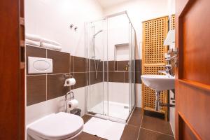 a bathroom with a shower and a toilet and a sink at Apartmány U Davídků in Cerny Dul +81 photos