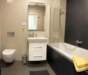 a bathroom with a toilet and a sink and a shower at Lucky Homes Apartment Kosice in Košice