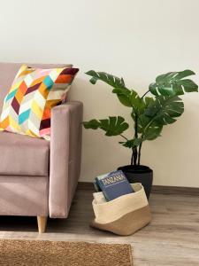 a book and a plant sitting next to a couch at Lucky Homes Apartment Kosice in Košice