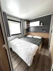 1 dormitorio con 1 cama grande en una habitación en 381 Emplacement prestige à la Réserve 4*, en Gastes