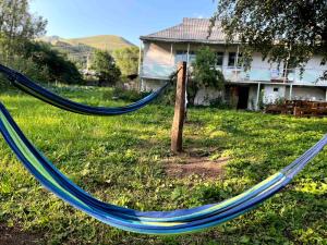 a hammock in a yard in front of a house at Hovit Holiday Home in Margahovit