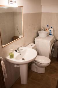 a bathroom with a toilet and a sink and a mirror at Casa rural El Cestero in Castellote