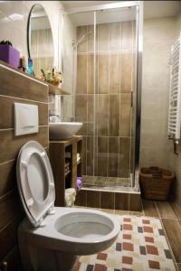 a bathroom with a toilet and a sink and a shower at Apartman Marija in Nova Varoš