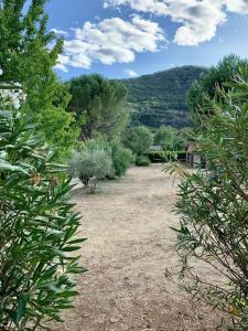 a garden with bushes and trees on a hill at Gîte 45 m2 3/4 personnes in Bessèges