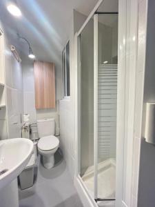 a bathroom with a toilet and a sink and a shower at Acogedor Estudio Cervantes in Madrid