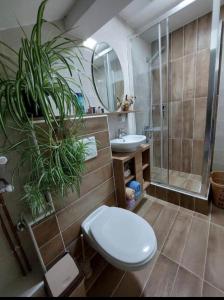 a bathroom with a toilet and a shower and a sink at Apartman Marija in Nova Varoš
