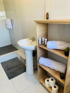 un bagno con lavandino e doccia di Edladleni Holiday Accomodation a Durban
