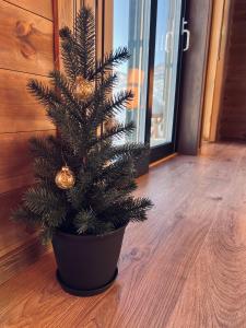 a christmas tree in a black pot on a wooden floor at Rindabotten Panorama in Sogndal