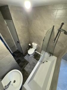 a bathroom with a toilet and a tub and a sink at Luxary private detached property in Brettell Lane