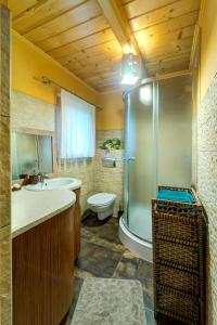 a bathroom with a shower and a toilet and a sink at Bacówka Polanki in Obidowa