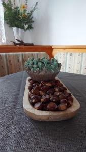 Menjar a l'apartament o a prop
