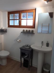 a bathroom with a sink and a toilet and a mirror at Domaine de la Sauzaie in La Pommeraie-sur-Sèvre
