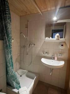 uma casa de banho com um chuveiro, um lavatório e uma banheira em L'Auberge de L'Ours em Vers L'Eglise