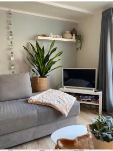 uma sala de estar com um sofá e uma televisão em Dromen aan het strand em Egmond aan Zee