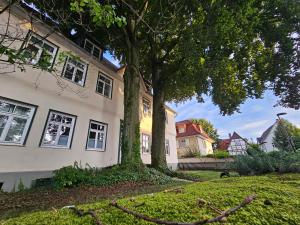 a white house with a tree in the yard at Patrizierhaus St Pauli am Brauhaus Zwiebel in Soest