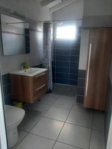a bathroom with a sink and a toilet and a shower at Bois patate location in Sainte-Anne
