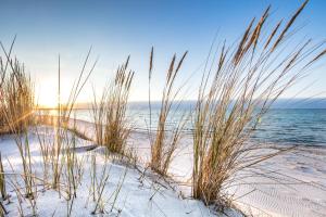 una spiaggia con canne nella sabbia e nell'oceano di Lüttes Tohuus a Tinnum