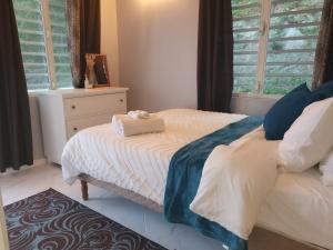 1 Schlafzimmer mit 2 Betten und einer Kommode in der Unterkunft Mount Joy Getaway in Parham