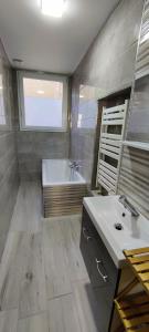 a large bathroom with a tub and a sink at Appartement en centre ville in Thonon-les-Bains