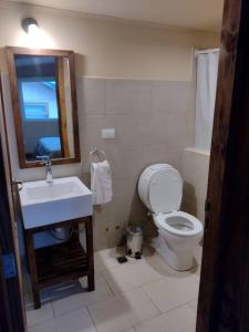 een badkamer met een toilet, een wastafel en een spiegel bij deptos baguales ALOJAMIENTOS PATAGONICOS in Villa La Angostura