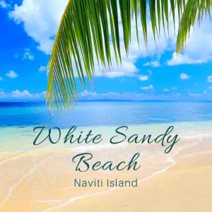 una spiaggia con una palma e le parole sabbia bianca di White Sandy Beach-Best Manta Snorkeling a Naviti Island