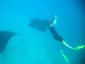 a person standing in the water with an umbrella at White Sandy Beach-Best Manta Snorkeling in Naviti Island
