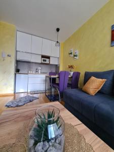 Il comprend un salon avec un canapé bleu et une cuisine. dans l'établissement Apartman Rajska dolina Titova vila, à Palisat