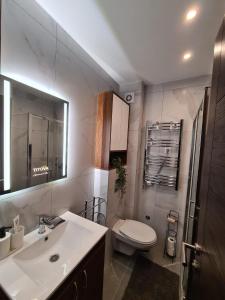 La salle de bains est pourvue d'un lavabo, de toilettes et d'un miroir. dans l'établissement Apartman Rajska dolina Titova vila, à Palisat