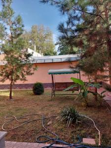 Vườn quanh MIR HOSTEL