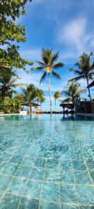 a swimming pool with palm trees on a beach at Pousada Villa Zena - Pé na areia in Arraial d'Ajuda