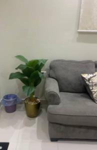 ein Wohnzimmer mit einem Stuhl und einer Topfpflanze in der Unterkunft Entire apartment 2 bedrooms private entry Closeto digital city and KAFD in Riad