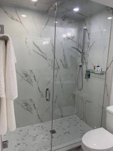 een badkamer met een glazen douche en een toilet bij luxury & Spacious 2 bedrooms serviced apartment in Brampton