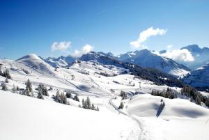 uma montanha coberta de neve com pistas de esqui na neve em Charmantes Studio im Zentrum em Dornbirn