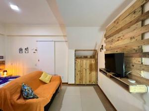 ein Schlafzimmer mit einem Sofa und einem TV in einem Zimmer in der Unterkunft Centro da cidade, Teresópolis. Várzea. in Teresópolis
