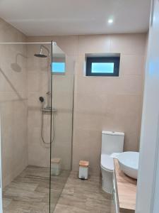 ein Bad mit einer Dusche, einem WC und einem Waschbecken in der Unterkunft Casa Nova de Senradelas in Marco de Canavezes