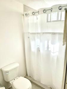 a bathroom with a toilet and a shower curtain at Depa Lunero in Cancún