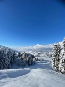 Schneiderhof durante l'inverno