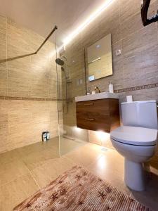 特爾古日烏的住宿－Lucky 13 Studio，一间带卫生间、水槽和镜子的浴室