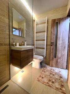 W łazience znajduje się umywalka, toaleta i lustro. w obiekcie Lucky 13 Studio w mieście Târgu Jiu