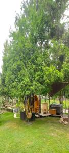 a park with a tree with chairs under it at Zielony Zakątek Karpacz Apartamenty in Karpacz