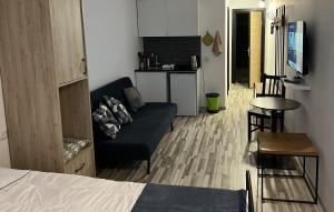 TV a/nebo společenská místnost v ubytování Gudauri Loft Apartment N508