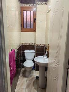 a small bathroom with a toilet and a sink at Sanctuary in Cairo