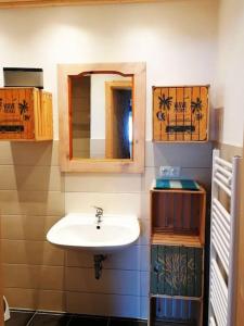y baño con lavabo y espejo. en Romantisches Cottage - besonderer Rückzugsort auf Hofreite von 1784 en Gründau