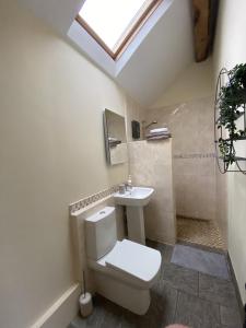 a bathroom with a toilet and a sink at Unique Stay on an Alpaca Therapy Farm with Miniature Donkeys North Wales in Mold