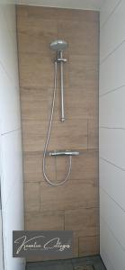 a shower in a bathroom with a wooden wall at Lakeview 'Taupo' 4-6 pers by Kawatea Cottages in Ewijk